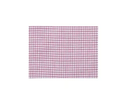 Camisa de sarga Blanco con pequeños cuadros Rojo Stellan-Bexley Best