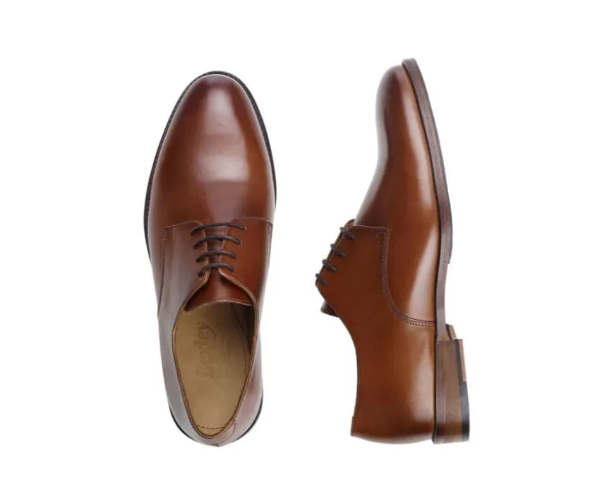 Derby de Coñac Patinado Dover Ii-Bexley Flash Sale