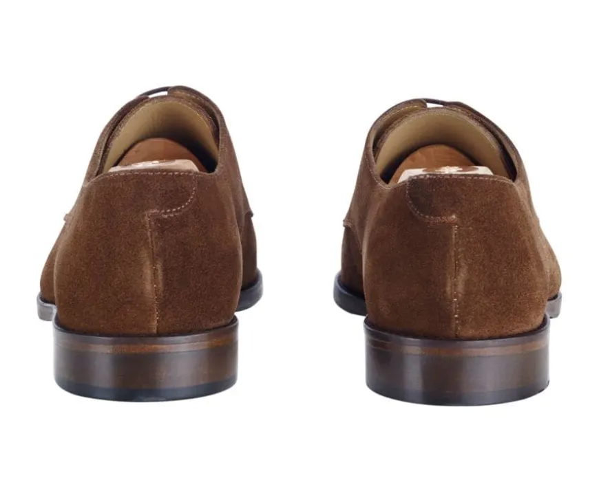 Derby de Terciopelo Coñac Habana Dover Ii-Bexley Store