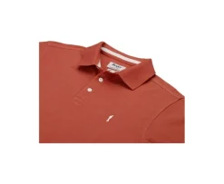 Polo de hombre Terracota Adger-Bexley New